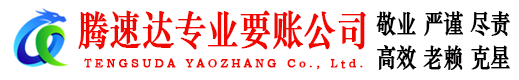黄石港要债公司